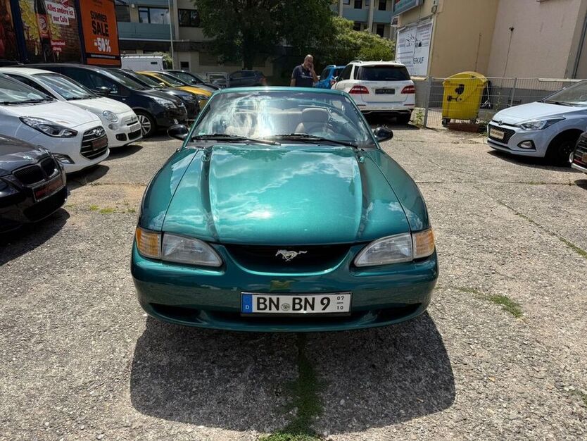 Mustang
