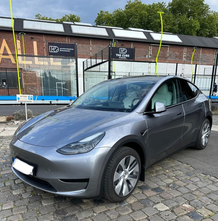 Model Y