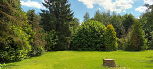 BG-Herkenrath, gemütliches EFH, 5 Zi., Gäste-WC, Garage, mit großem Garten - Einfamilienhaus Bergisch Gladbach Alt-Frankenforst | Angebot:27524812