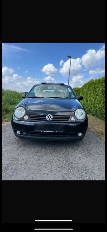 Lupo