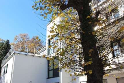 Wohnung Bonn Küdinghoven - 3 Zimmer, 95 m&sup2;, 1.500&euro; | Angebot:27586644