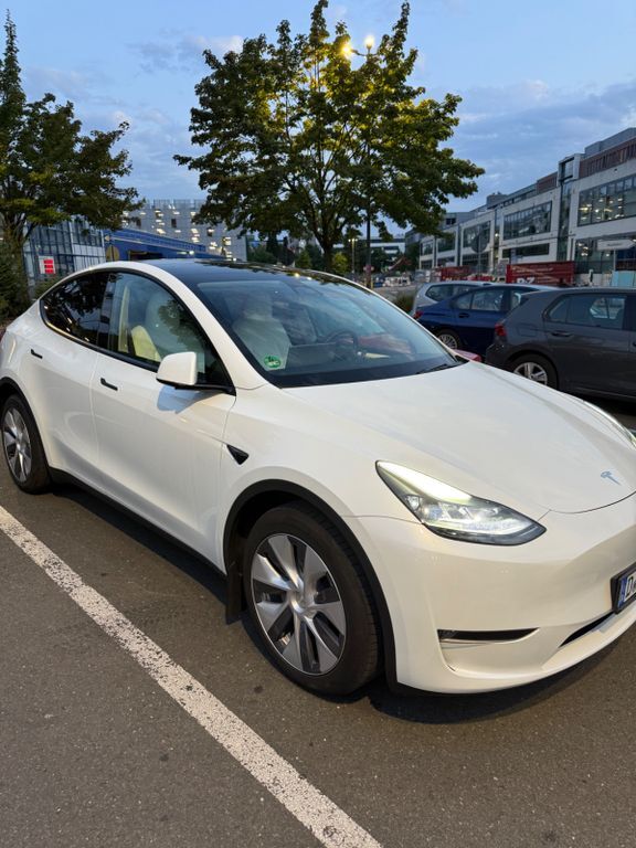 Model Y
