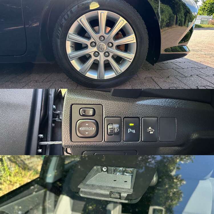 Auris