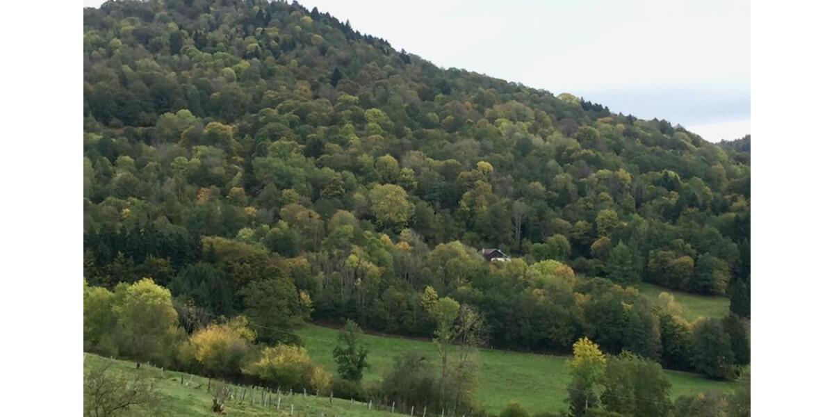 Bauernhaus, Landhaus Bonn Gronau - 5 Zimmer, 170 m&sup2;, 200.000&euro; | Angebot:26339817