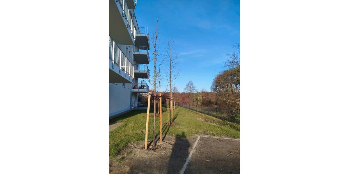 Erdgeschoßwohnung Elsdorf - 2 Zimmer, 50 m&sup2;, 1.198&euro; | Angebot:24514729