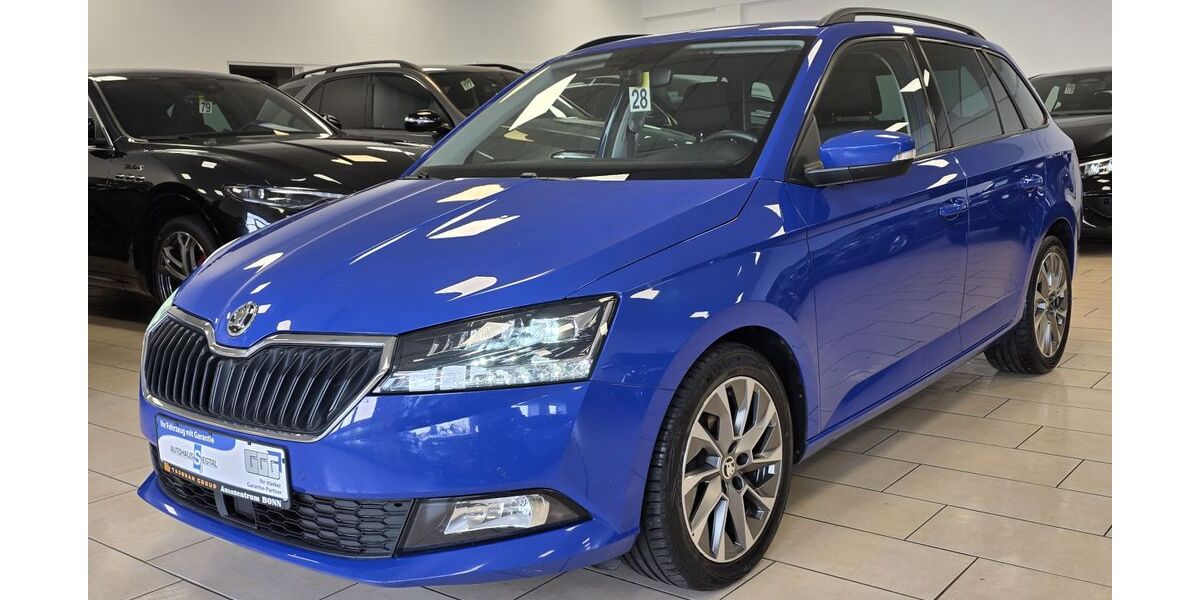 Skoda Fabia 124.877 km 11.970 &euro; Bonn 53227