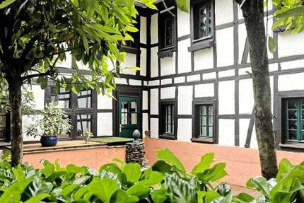 Haus Bonn-Lannesdorf Lannesdorf - 7 Zimmer, 170 m&sup2;, 1.870&euro; | Angebot:26277367