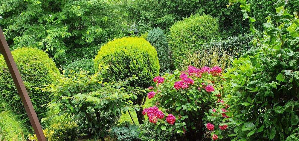 Terrassenwohnung Köln (Eil) Porz - 4 Zimmer, 136 m&sup2;, 549.000&euro; | Angebot:25290628