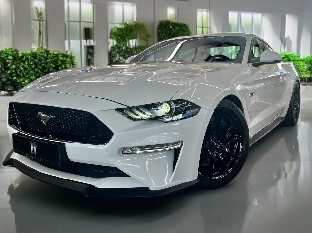 Mustang