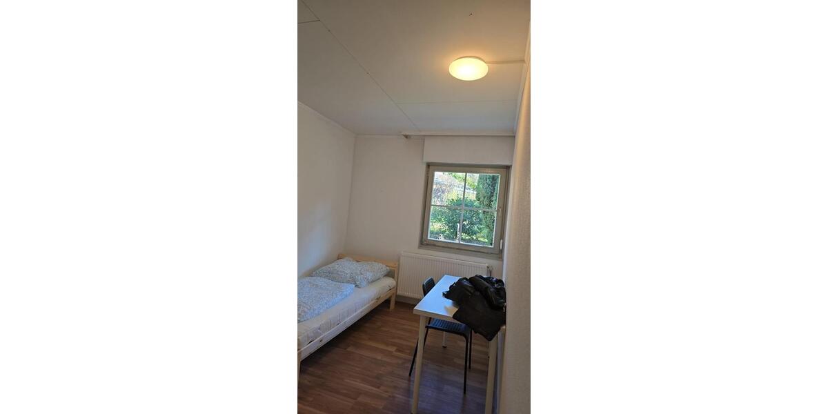 Freistehendes Haus mit 13 Zimmern und großem Garten 14 zimmer