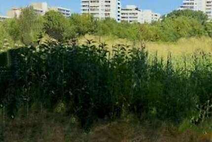 Wohnung Köln Junkersdorf Stadtwaldviertel - 1 Zimmer, 40 m&sup2;, 159.000&euro; | Angebot:27733919