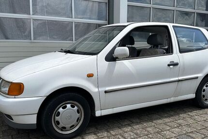 VW Polo 37.262 km 1.350 &euro; Hürth 50354