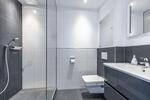 Möbliertes Appartement mit traumhaftem Rheinblick