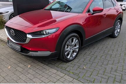 Mazda CX-30 30.202 km 25.485 € Leverkusen 51373