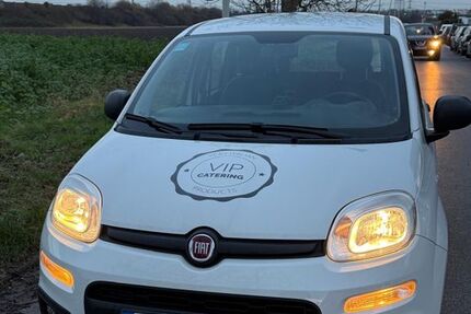 Fiat Panda 54.000 km 6.499 &euro; Pulheim 50259