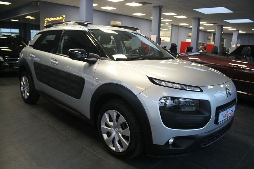 C4 Cactus