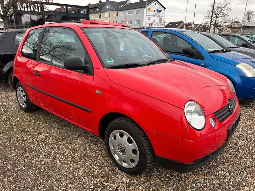 Lupo