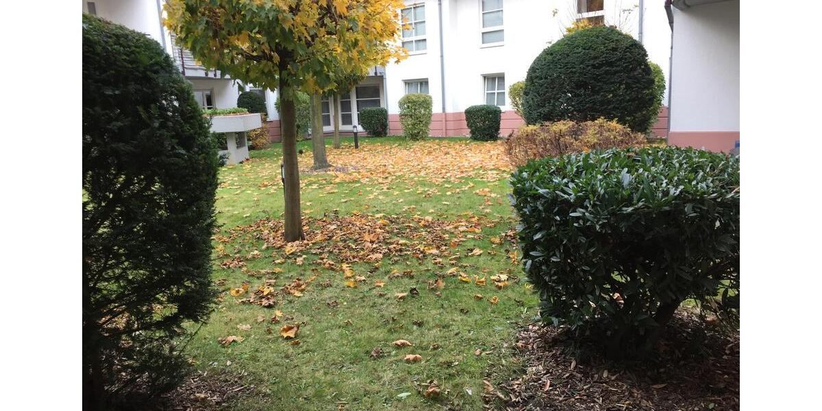 Erdgeschoßwohnung Köln Lindenthal - 2 Zimmer, 50 m&sup2;, 980&euro; | Angebot:26264816