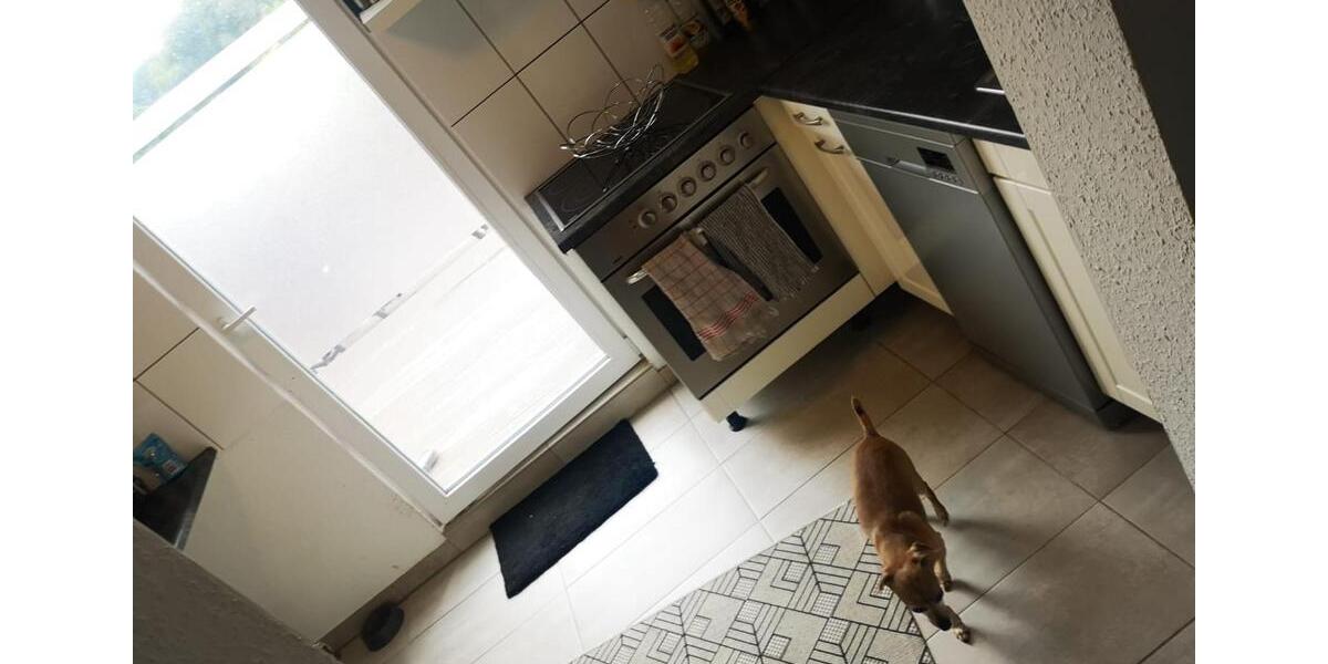 Dachgeschoßwohnung Rösrath - 3 Zimmer, 70 m&sup2;, 700&euro; | Angebot:25163123