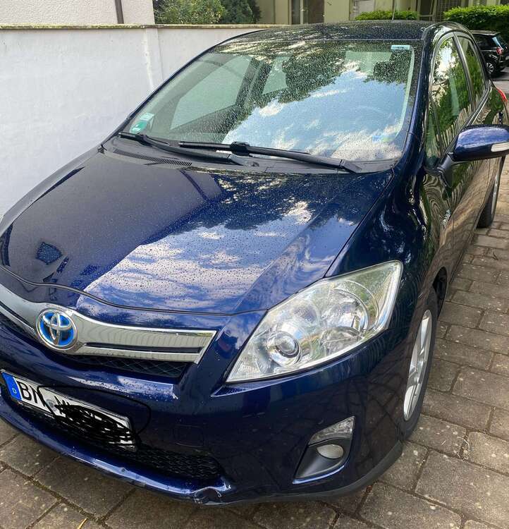 Auris
