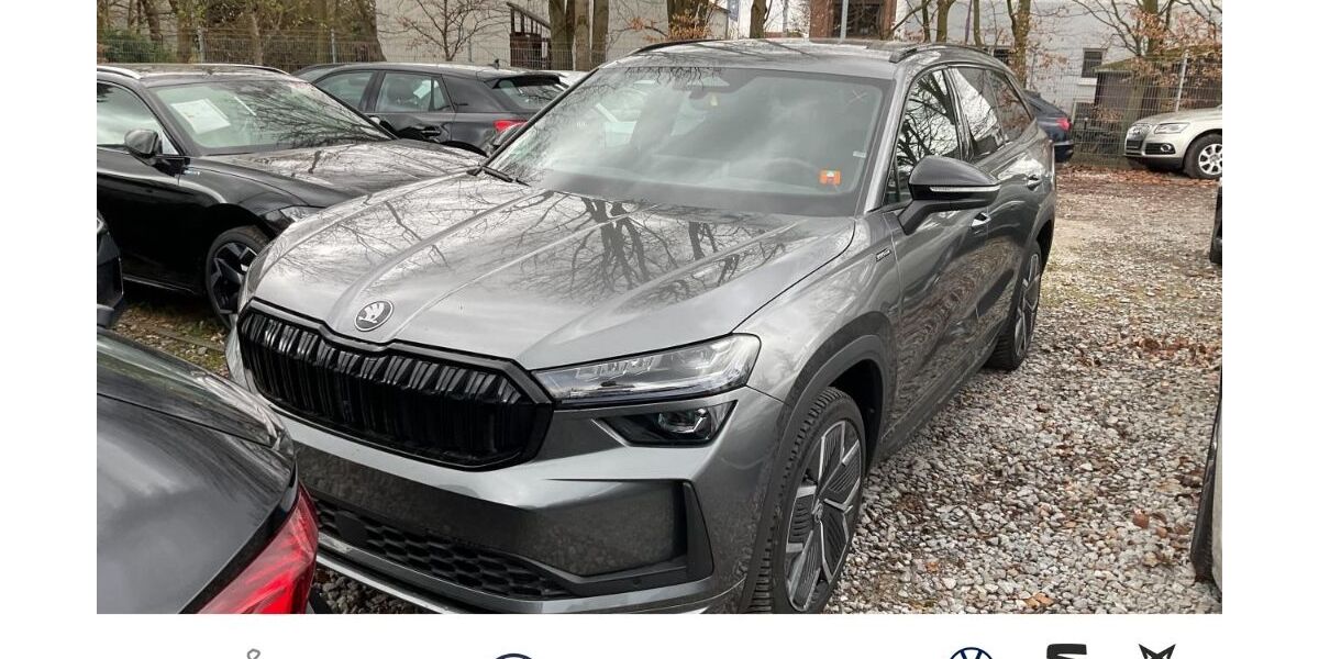 Skoda Kodiaq 21.096 km 44.480 &euro; Hilden 40721