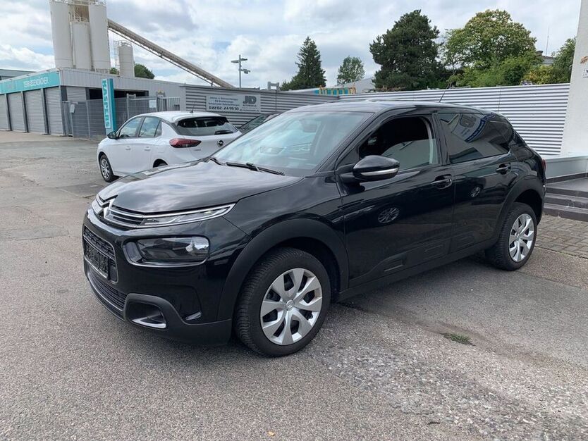 C4 Cactus