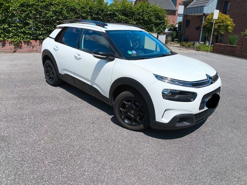 C4 Cactus