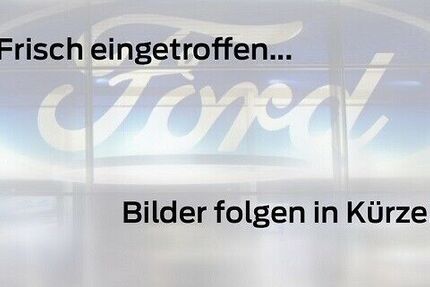 Ford Mustang Mach-E 8.000 km 53.490 &euro; Erftstadt-Lechenich 50374
