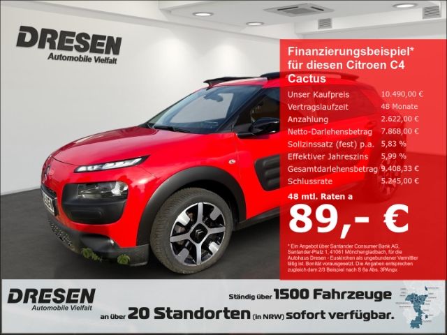 C4 Cactus