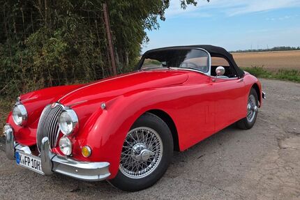 Jaguar XK 14.500 km 77.000 &euro; Köln-Pesch 50767