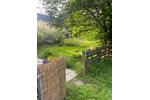 Etagenwohnung Lohmar - 5 Zimmer, 118 m&sup2;, 800&euro; | Angebot:27572193