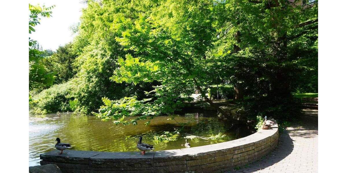 Wohngenuss & Rheinblick, frisch modernisierte 3 Zimmer mit Rundum-Panorama-Balkon, neues Bad, Aufzug 3 zimmer