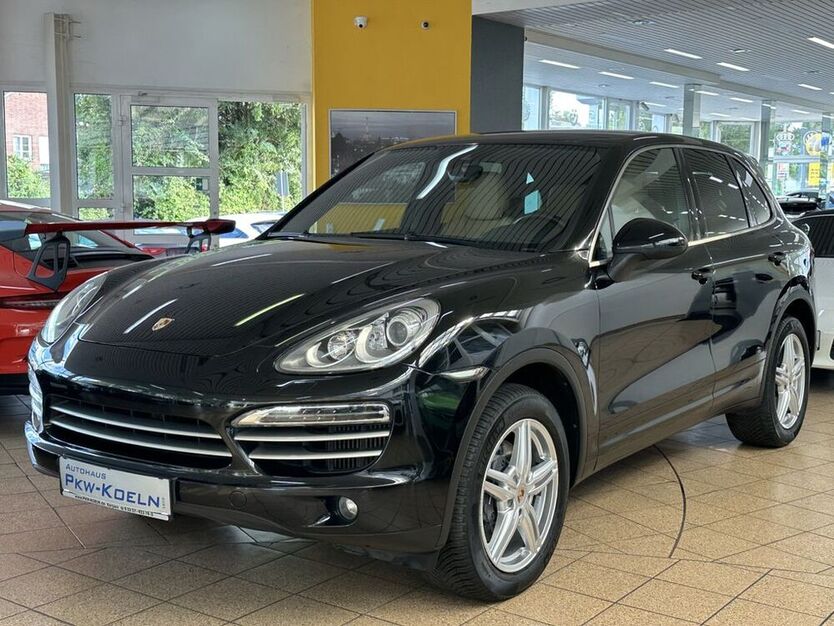 Cayenne