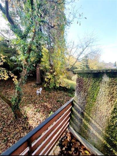 Mehrfamilienhaus, Wohnhaus Köln Weiden - 1 Zimmer, 278 m&sup2;, 1.299.800&euro; | Angebot:24218702