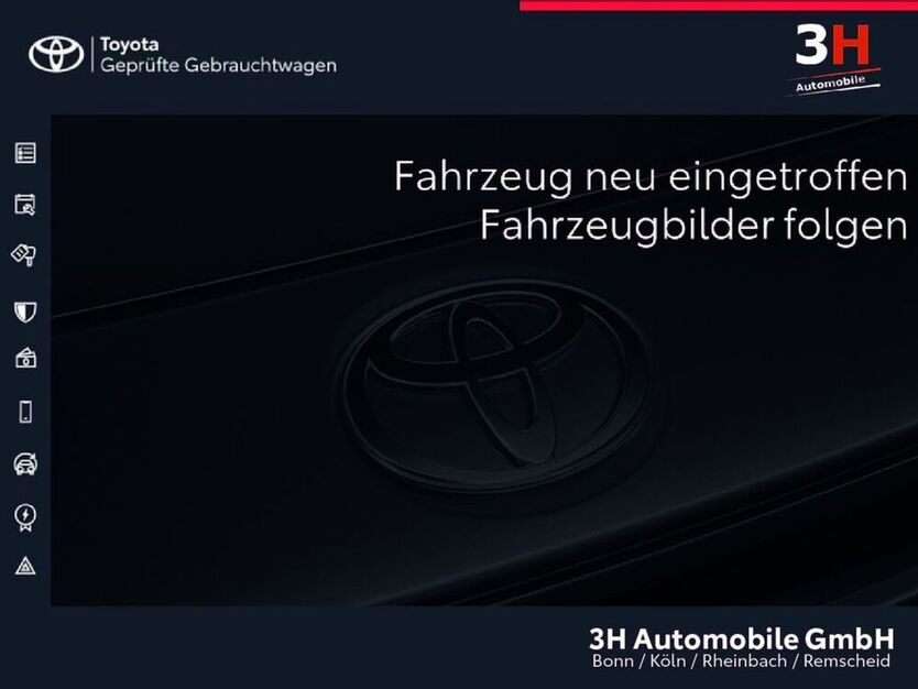 Auris