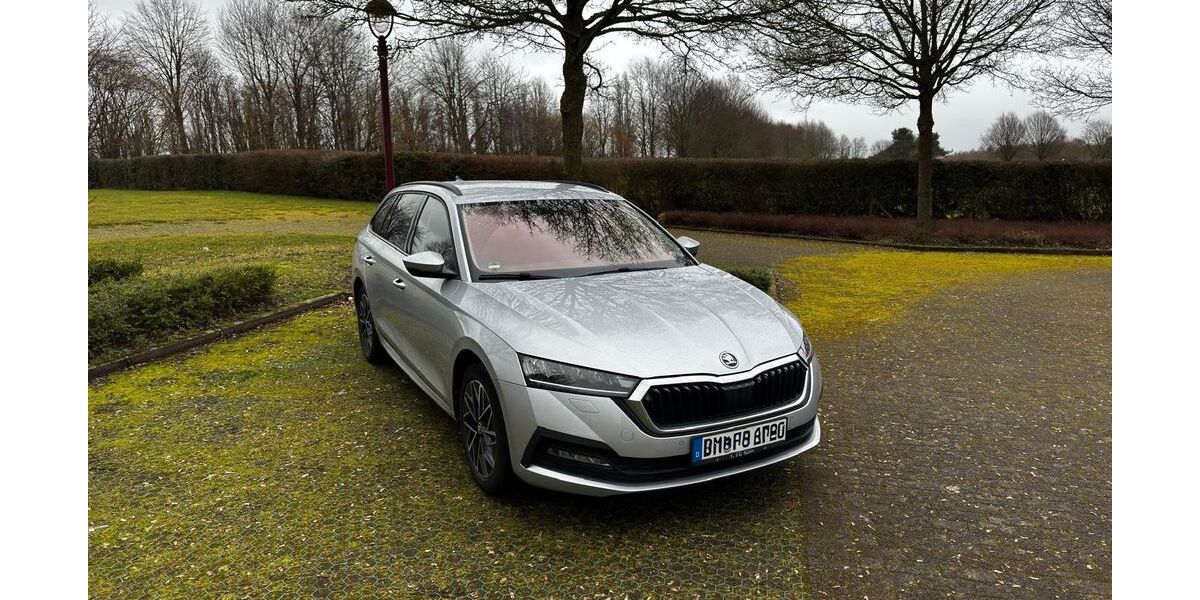 Skoda Octavia 62.000 km 21.099 &euro; Bergheim 50129