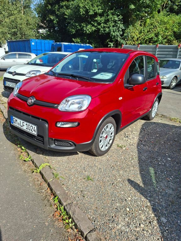 Fiat Panda 10.800 km 13.490 € Engelskirchen 51766