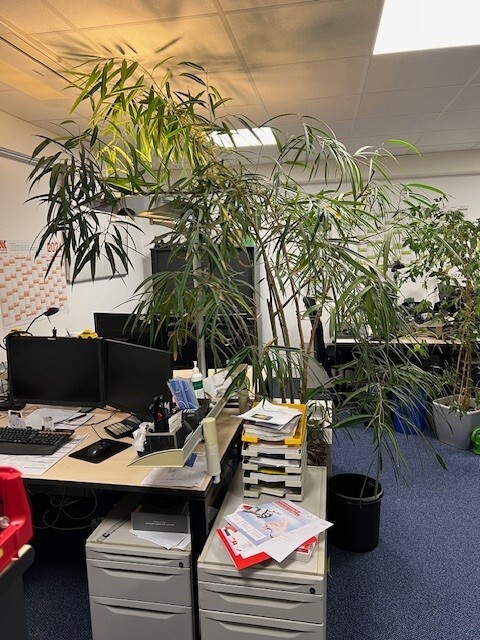 MÖBLIERTE Büroräume: Gepflegte Fläche in zentraler Lage ***PROVISIONSFREI*** 9 zimmer