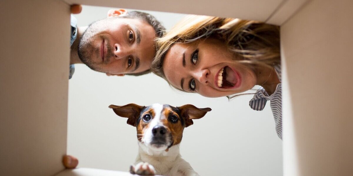 Individuell geplantes Einfamilienhaus - Ihr Wunschhaus mit Flexibilität und Sicherheit! - Einfamilienhaus Erftstadt | Angebot:27342060