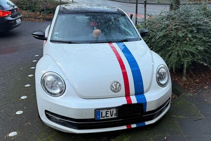 VW Beetle 120.000 km 9.999 &euro; Leverkusen 51379
