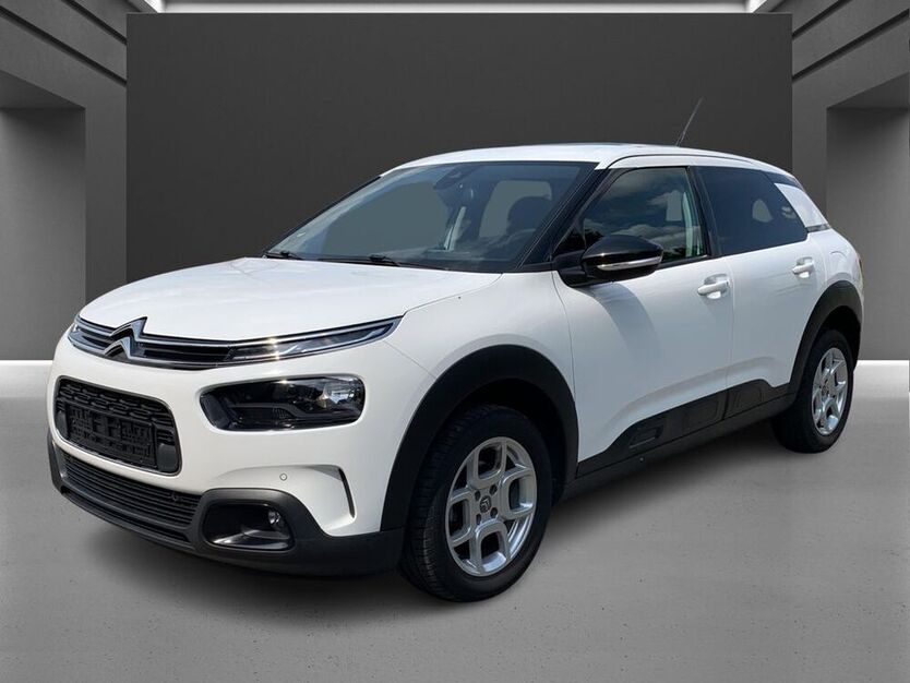 C4 Cactus