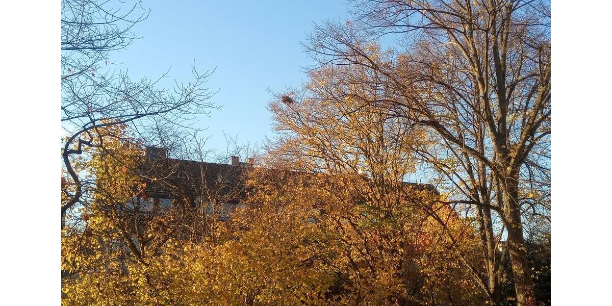 Eigentumswohnung stadtnah und im grünen Kölner Süden privat 3 zimmer