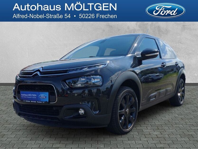 C4 Cactus
