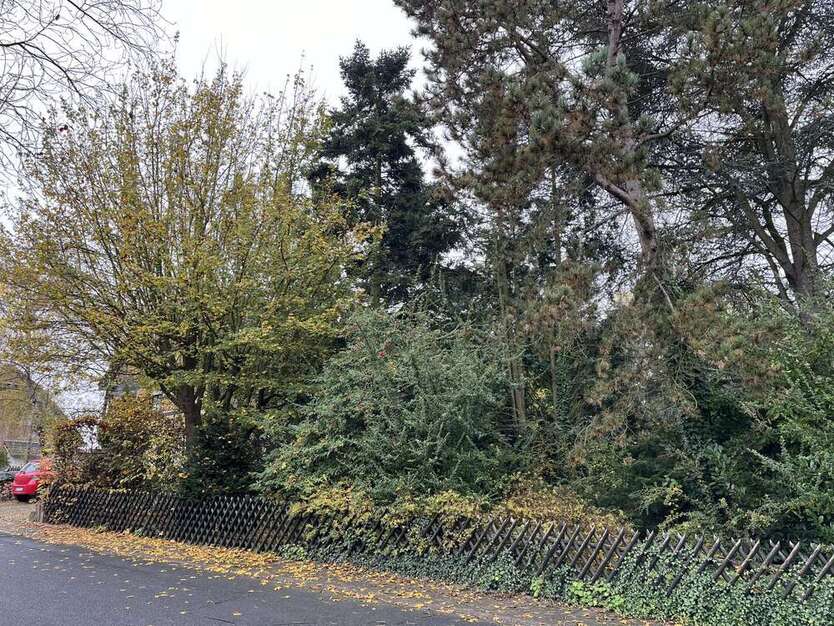 Grundstück zu verkaufen in Rheinbach 698.000 € 2277 m²