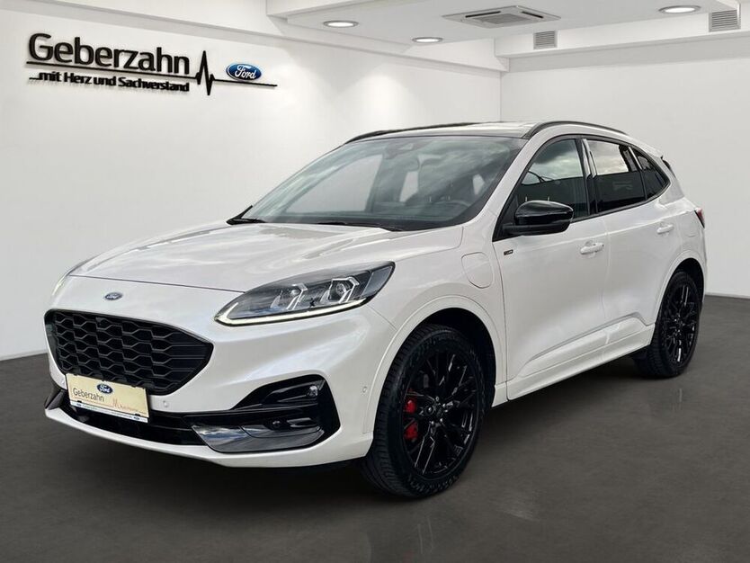 Kuga