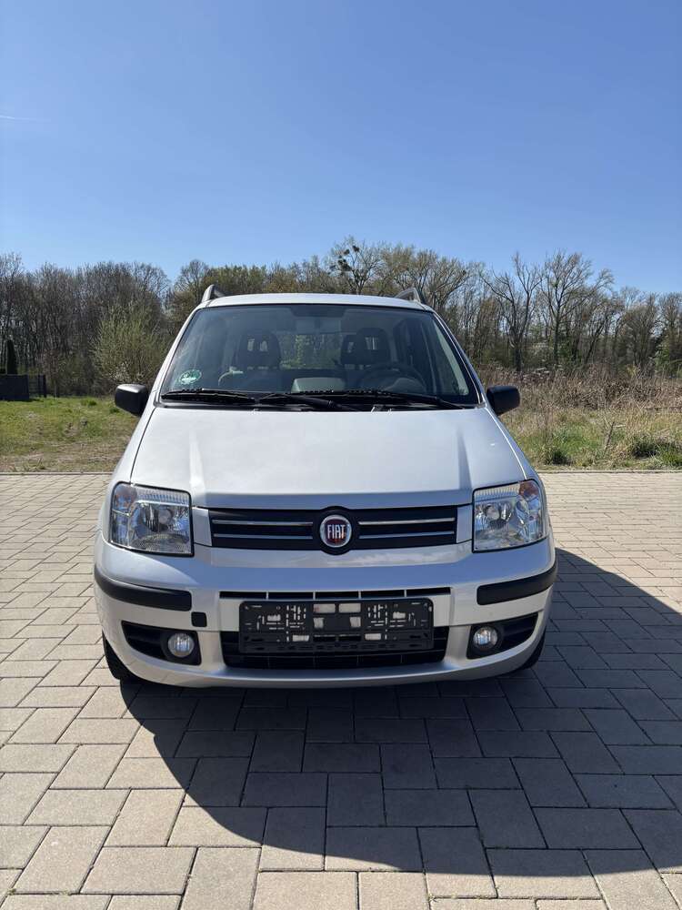Panda