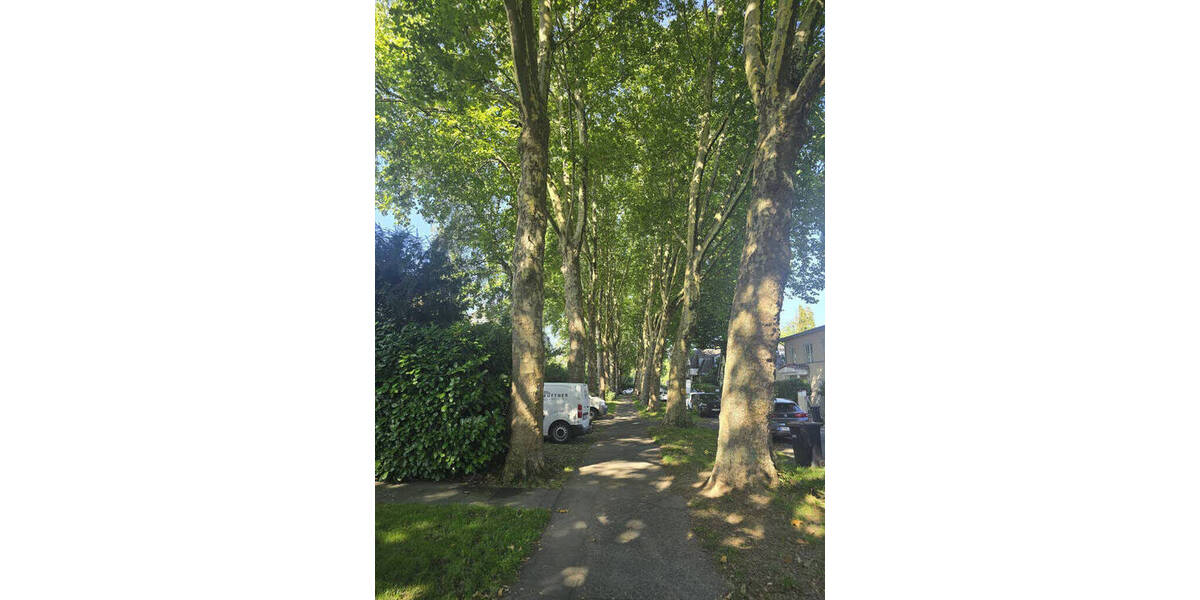 Junkersdorf unkoventionelles Haus auf ca. 340 m² Grundstück mit großen Optionen 2 zimmer