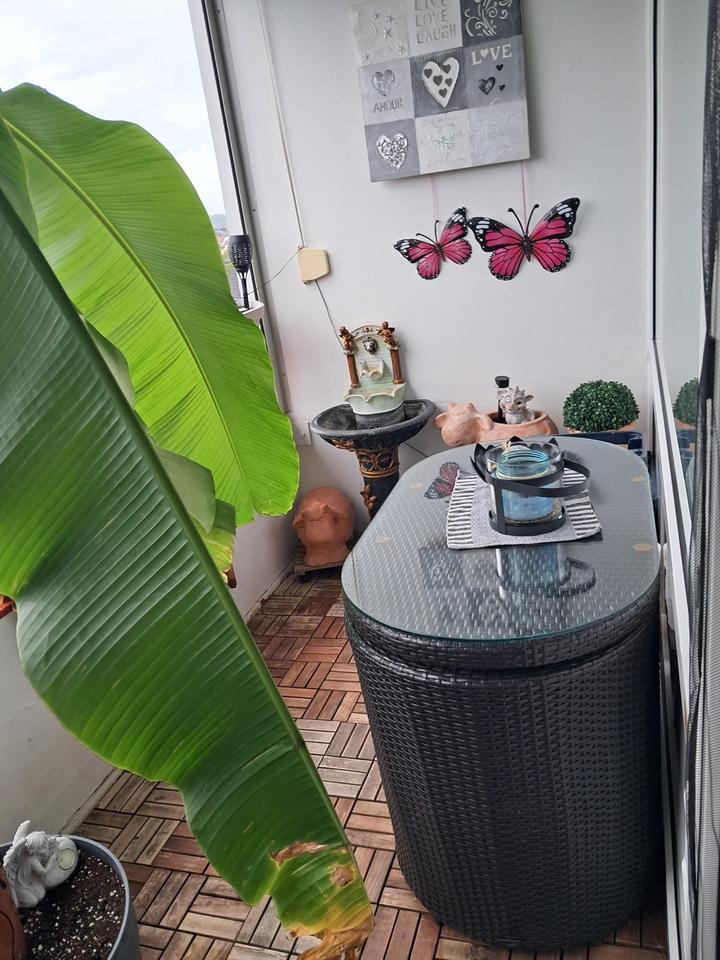 3 Zimmer Wohnung in Monheim