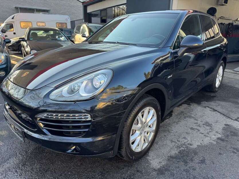 Cayenne