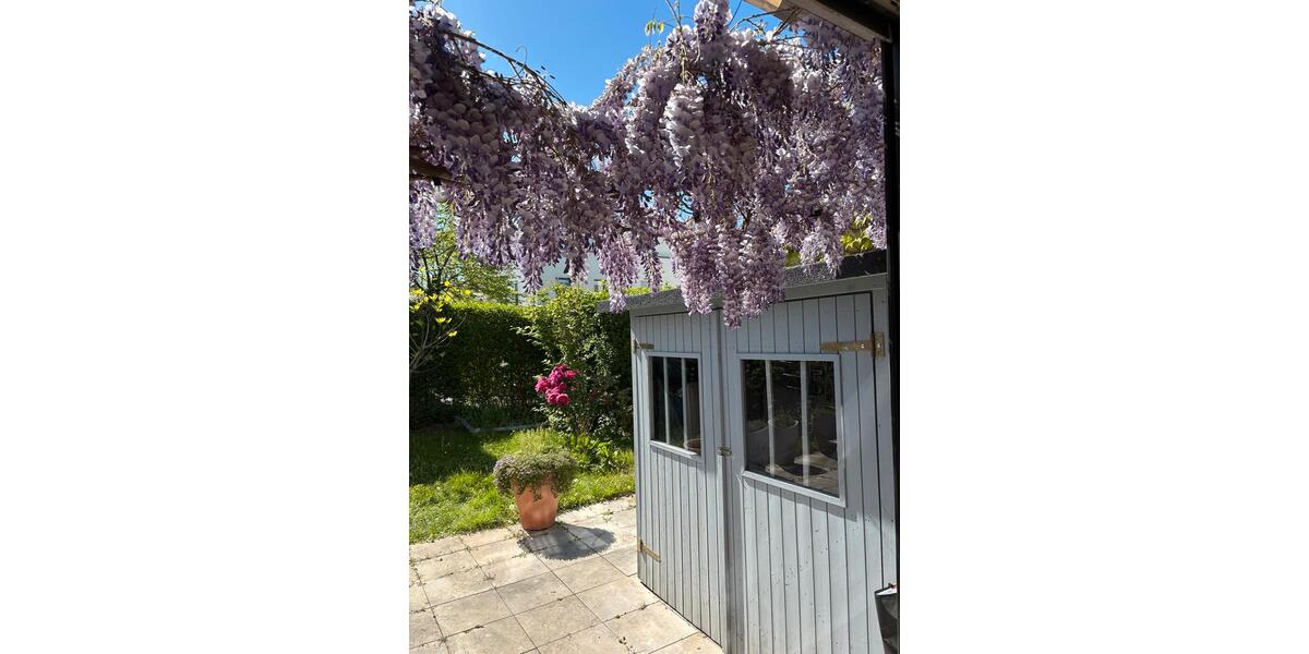 Doppelhaushälfte Bonn Friesdorf - 5 Zimmer, 165 m&sup2;, 3.000&euro; | Angebot:26385271
